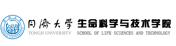开云官方网站登录入口